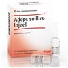GUNA SpA Adeps suillus injeel 10 fiale Heel