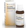 GUNA SpA Aesculus compositum gocce Heel 30 ml