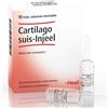 GUNA SpA Cartilago suis injeel 10 fiale Heel