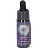 Olio Natur Saguaro Ess 7,4Ml Calf 7,4 ml Essenza