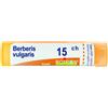 BOIRON Srl Berberis Vulgaris 15CH Boiron 80 Granuli 4g