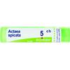 BOIRON Srl Actaea Spicata 5CH Boiron 80 Granuli 4g