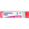 BOIRON Srl Chelidonium Majus 7CH Boiron 80 Granuli 4g