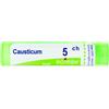 BOIRON Srl Causticum 5CH Boiron 80 Granuli 4g