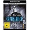 Warner Bros. (PLAION PICTURES) Casablanca (+ Blu-ray)