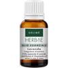 SOLIME' Srl Lavanda Olio Essenziale 10ml - Integratore Alimentare, Rilassamento e Benessere Digestivo