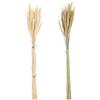 DKD Home Decor Razzi, Standard