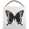 Alyson Fennell papillon II blocco di legno, multicolore, 20 x 20 cm