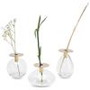 LUUK LIFESTYLE Set di decorazione di vasi in vetro, design a sfera, vaso in vetro piccolo, rotondo, vaso decorativo, filigrana