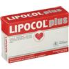 Anvest Health Srl Lipocol Plus 30cpr