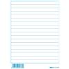 EDI PRO EDIPRO - E3076BL - 100 schede rigate blu f.to 10,5x8