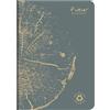 Clairefontaine 684864C Taccuino collezione Forever a punto metallico 100% riciclato grigio piombio, A5 14, 8x21 cm, 96 pagine a righe, carta riciclata bianca 90g, copertina in carta riciclata