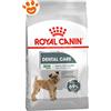 Royal Canin Dog Mini Dental Care - Sacco da 3 kg, Any