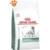 Royal Canin Dog Veterinary Diet Diabetic - Sacco Da 1,5 Kg