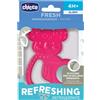 ARTSANA Chicco Massaggiagengive Refrigerante Koala 4 Mesi + Rosa