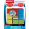 TOYS ONE Fisher-Price Blocchi Sempre con Te