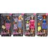 TOYS ONE Barbie Fashionistas 2020 Modelli Assortiti FRY79