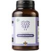 MycoMedica Hericium erinaceus - bio - 100g