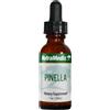NutraMedix Anice estratto - bronchi e digestione -30 ml