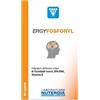 IMO omeopatia Imo Ergyfosforyl 60 Capsule integratore di omega3