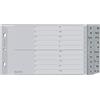 LEITZ Kunststoff-Register, A-Z, A5 quer, PP, 20-teilig, grau