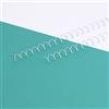 Craftelier - Kit 2 Spirali per Rilegatura Album, Quaderni o Agende | Ideale per progetti di Scrapbooking e Artigianato | Ø 1,27 cm (0,5) | Lunghezza 30,5 cm (12) - Colore Bianco
