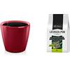 Lechuza Set Completo Classico Premium 21 Vaso Rosso Lucido & Pon, Substrato minerale e inorganico, adatto per coltura, a rilascio graduale di sostanze nutritive, confezione 6 L