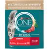 PURINA ONE SterilCat crocchette con Manzo per gatto - Set %: 3 x 750 g