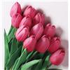 Anaoo 12 Pezzi Tulipani Fiori Artificiali Finti in Lattice Realistico Bouquet Decorazione per Nozze, Composizioni Floreali, Feste, Natale, Matrimoni, Casa, Ufficio, Effetto, Rosa Caldo