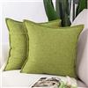 Madizz 2 Pezzi Lino Copricuscini Morbido Decorativo Fodere per Cuscino Lusso Stile per Divano Camera da Letto 55x55 cm Verde chiaro