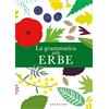 GRIBAUDO La grammatica delle erbe