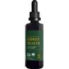 Global Healing Kidney health - salute dei reni - 59ml