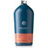 Revlon professional eksperience reconstruct phase2
