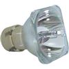 BENQ 5J.J6D05.001 LAMPADA COMPATIBILE SENZA SUPPORTO (SOLO BULBO)