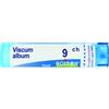 BOIRON Srl Viscum Album 9CH Boiron 80 Granuli
