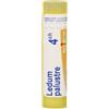 BOIRON Srl Ledum Palustre 4DH Boiron 80 Granuli