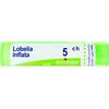 BOIRON Srl Lobelia Inflata 5CH Boiron 80 Granuli 4g