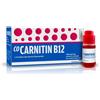 Alfasigma CoCarnitin B12 Medicinale con Carnitina e Vitamina B12 per Convalescenza e Debilitazione, 10 Flaconi
