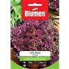 Blumen lattuga lollo rossa