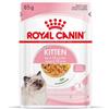 Royal Canin Kitten cibo umido per gattini (in gelatina) 1 scatola (12 x 85 g)