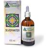 ALCHIMIA BENOIT Srl SILVER WATER BENOIT 100 ML