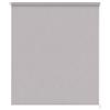 Estoralis Gove Tenda a Rullo Traslucida Liscia, Poliestere, Grigio, 110 x 230 cm