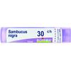 BOIRON Srl Sambucus Nigra 30CH Boiron Granuli 4g