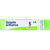 BOIRON Srl Spigelia Anthelmia 5CH Boiron Granuli 4g