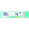 BOIRON Srl Ribes Nigrum 12DH Boiron Granuli 4g