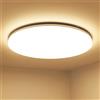 Lepro LE Plafoniera LED 24W 2500lm, Ø33cm, Lampada da Soffitto per Bagno Impermeabile IP54, Luce Lampada da Soffitto Bianco Caldo 3000K, Risparmio Energetico per Soggiorno, Corridoio, Cucina, Balcone