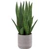 Briful - Pianta artificiale Sansevieria, altezza 40 cm, in vaso di cemento