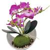 Vasi Orchidee Bianche, Confronta prezzi