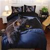 dDanke, Set di Biancheria da Letto con Stampa di Gatto Nero Scuro 3D (Include 1 Copripiumino, 1 Lenzuolo e 2 federe)