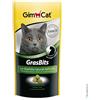 GIMBORN ITALIA Srl Div. Veter. GimCat Gras Bits - 50GR